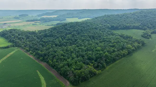 0 County Road J, Mondovi, WI 54755
