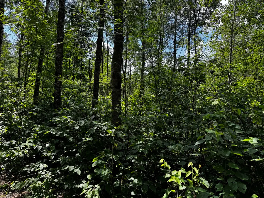 Lot 12 Cassandra Road, Hayward, WI 54843 - #2
