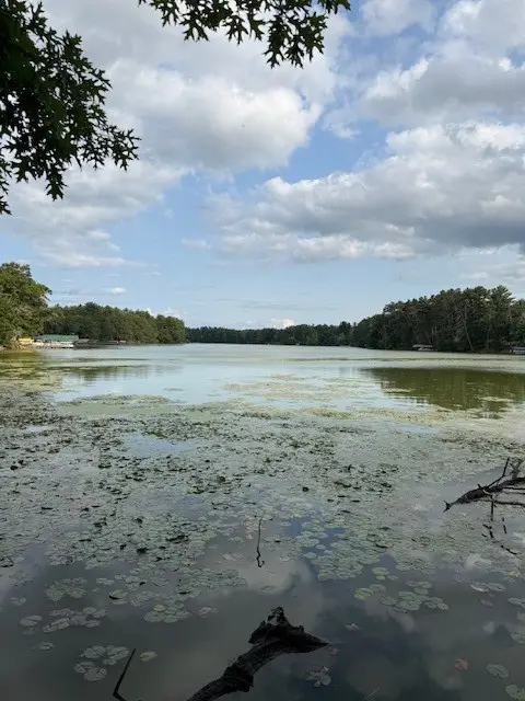 Lot 2 24 3/4 Street, Chetek, WI 54728 - #2
