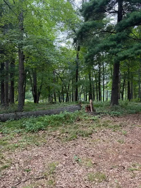 Lot 3 24 3/4 Street, Chetek, WI 54728