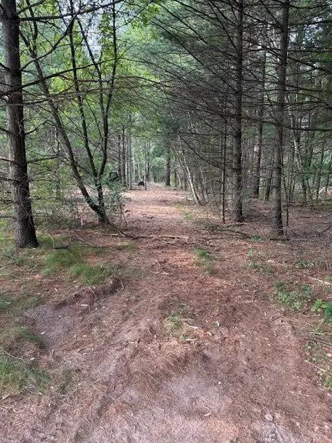 Lot 3 24 3/4 Street, Chetek, WI 54728 - #2