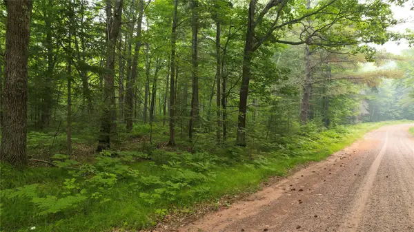 TBD N Loop Road, Drummond, WI 54832