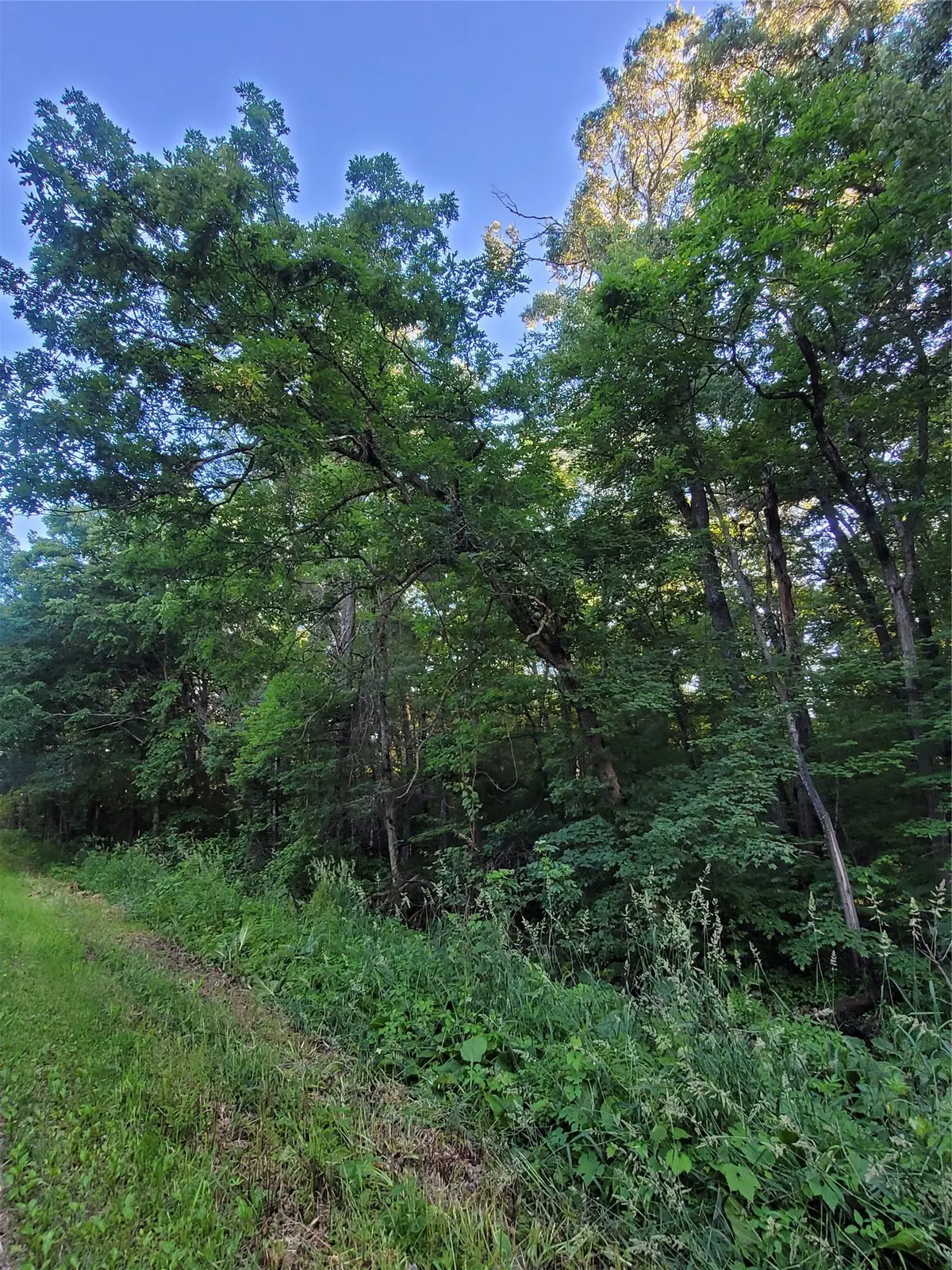 Lot 4 Us Highway 12, Merrillan, WI 54754 - #1