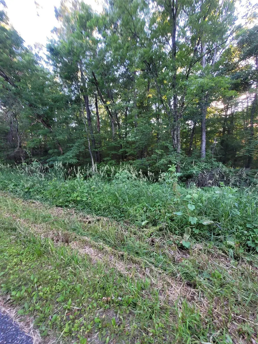 Lot 4 Us Highway 12, Merrillan, WI 54754 - #2