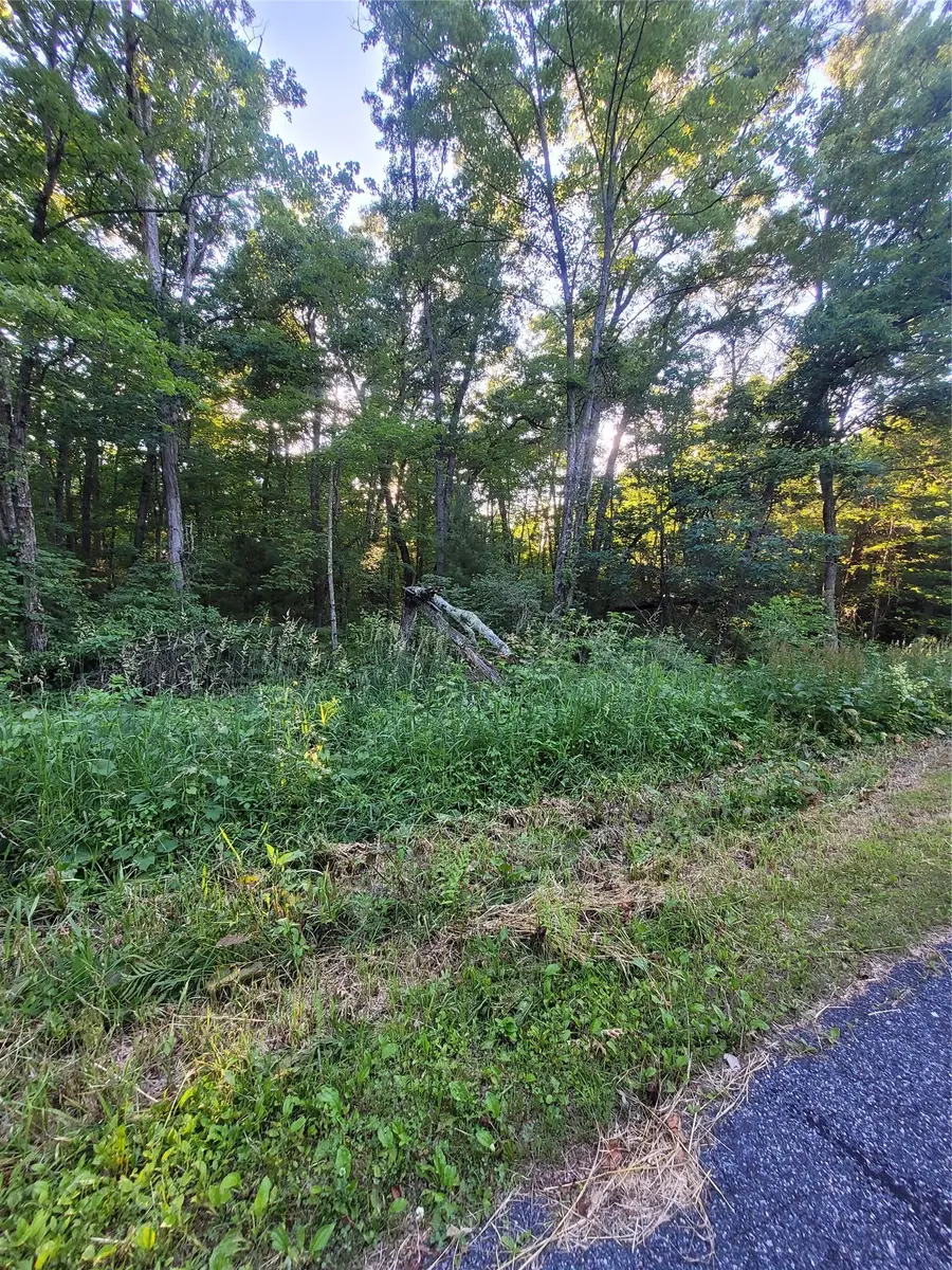 Lot 4 Us Highway 12, Merrillan, WI 54754 - #3