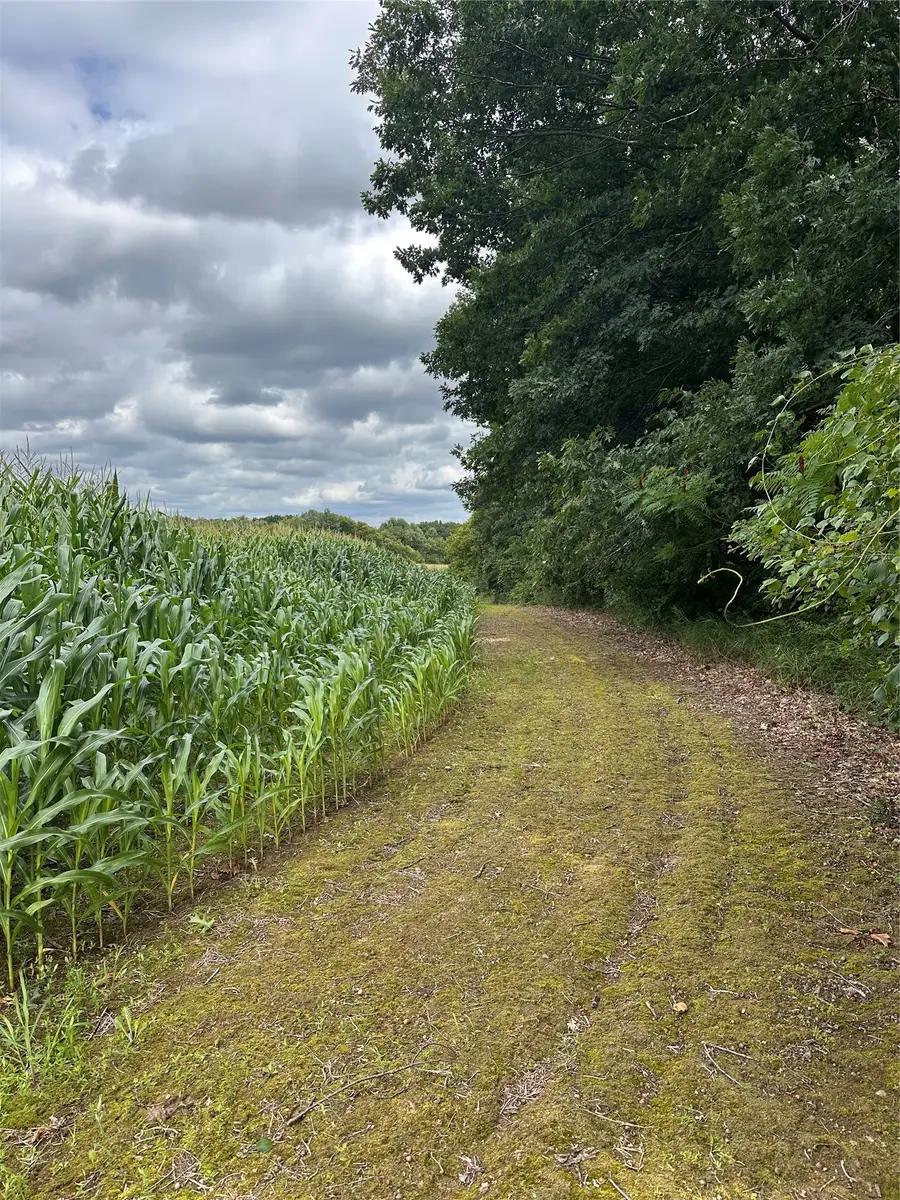 40 Acres 180th Street, Lafayette, WI 54720 - #2