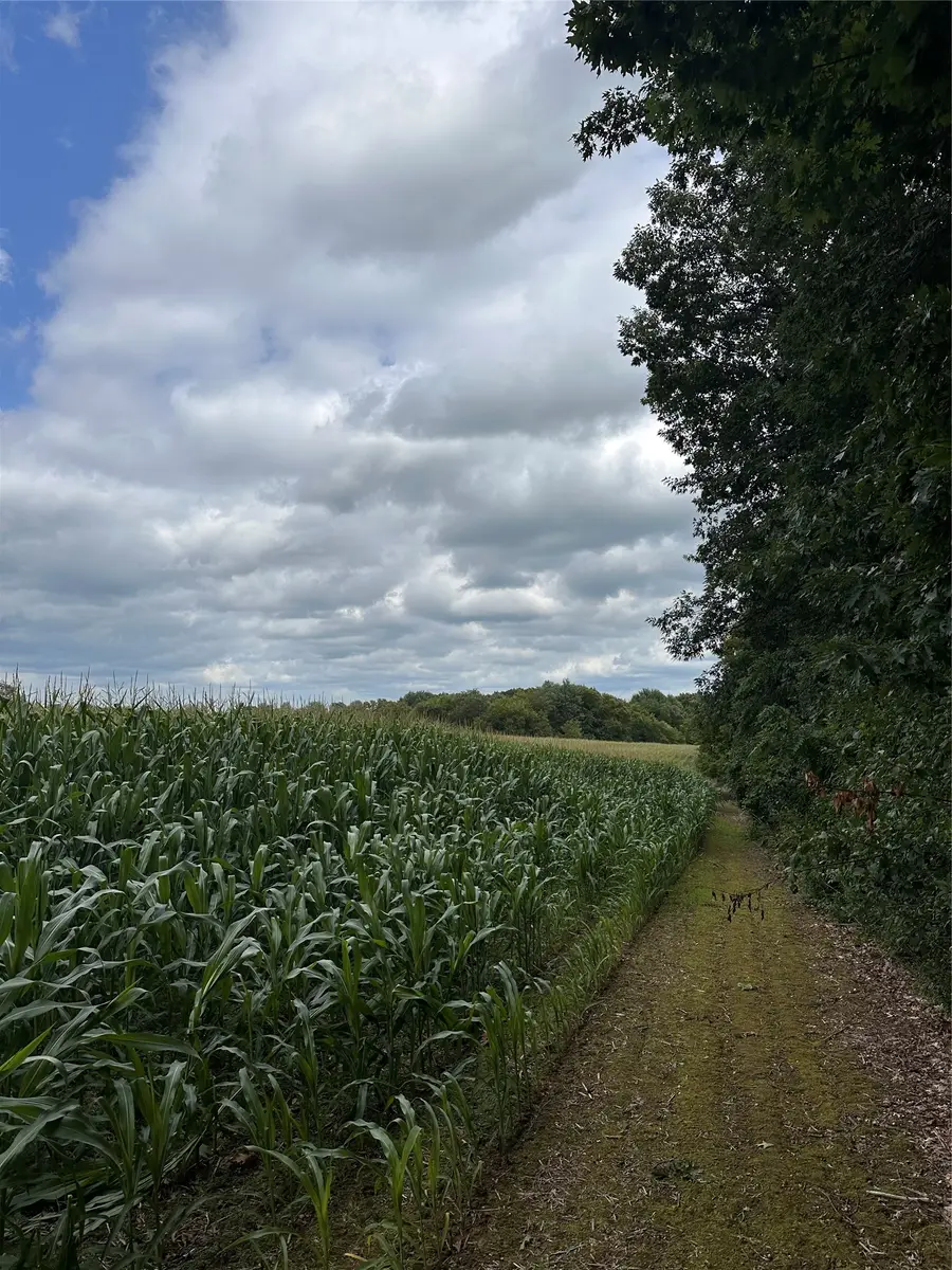 40 Acres 180th Street, Lafayette, WI 54720 - #3