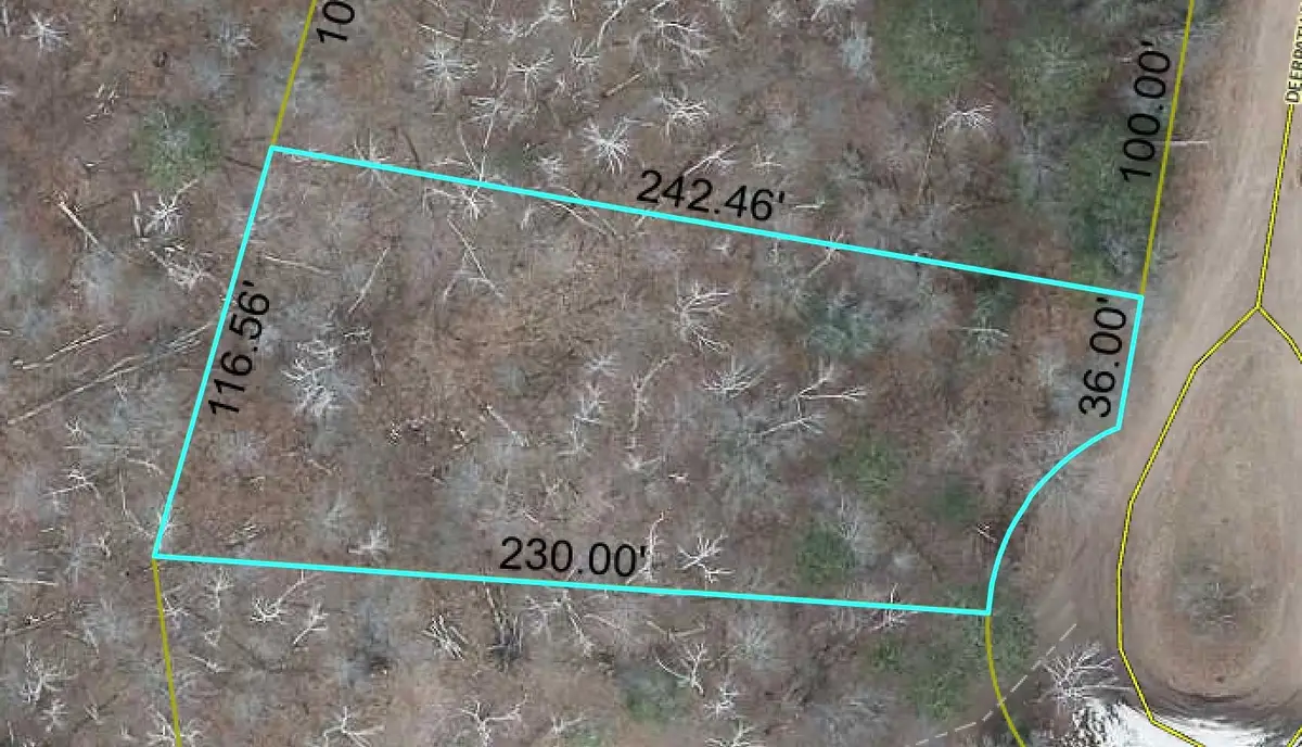 Lot 196 Deerpath Pass, Danbury, WI 54830 - #1