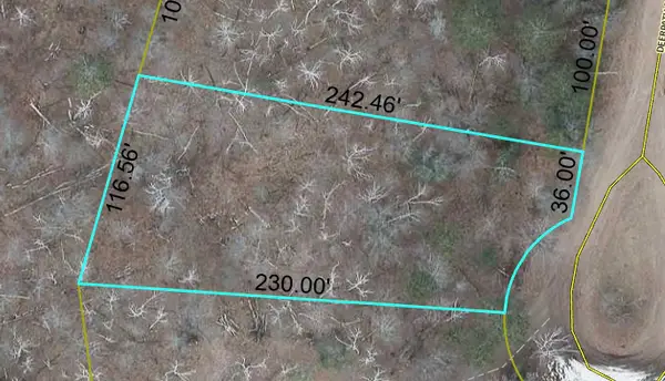 Lot 196 Deerpath Pass, Danbury, WI 54830