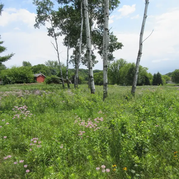 Lot 12 516th Street, Menomonie, WI 54751