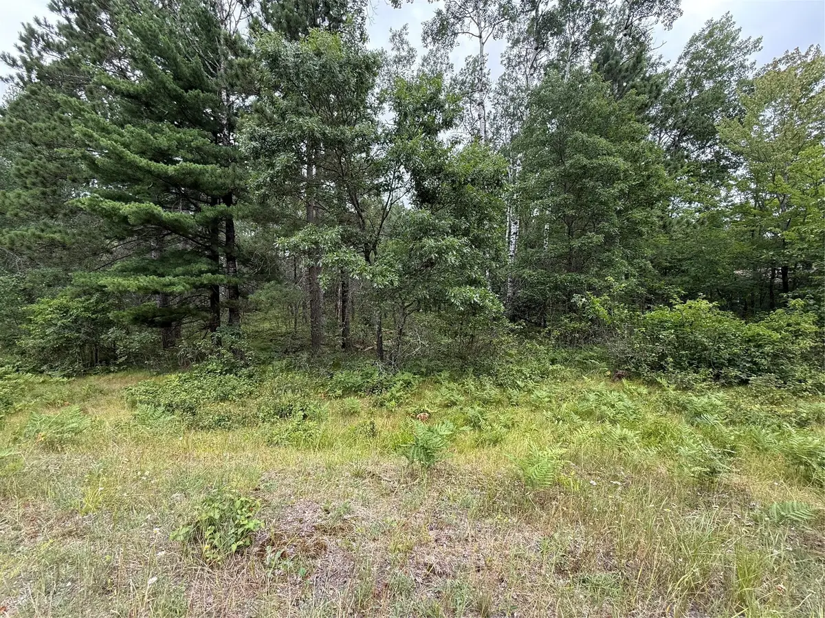 Lot 56 George Lake Road, Barnes, WI 54873 - #1