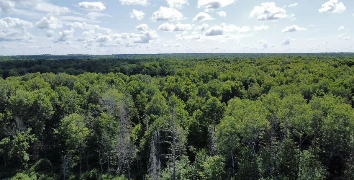 W10816 Bergman Rd., Merrill, WI 54452 - #1
