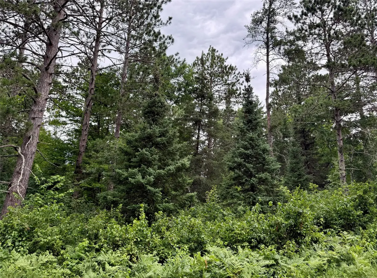 Lot 23 Lake Lodge Drive, Cable, WI 54821 - #1