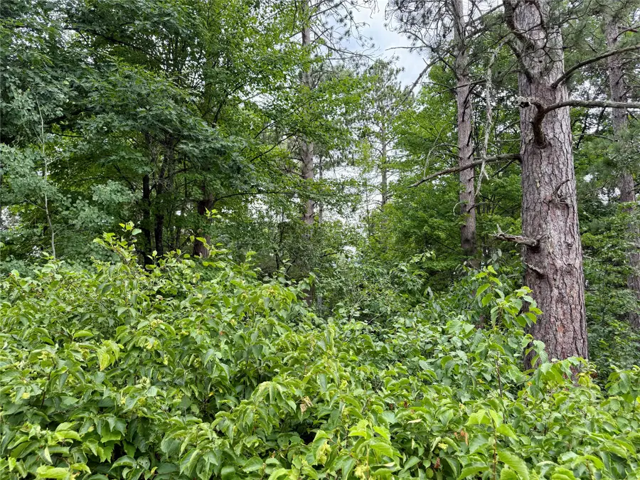 Lot 23 Lake Lodge Drive, Cable, WI 54821 - #3