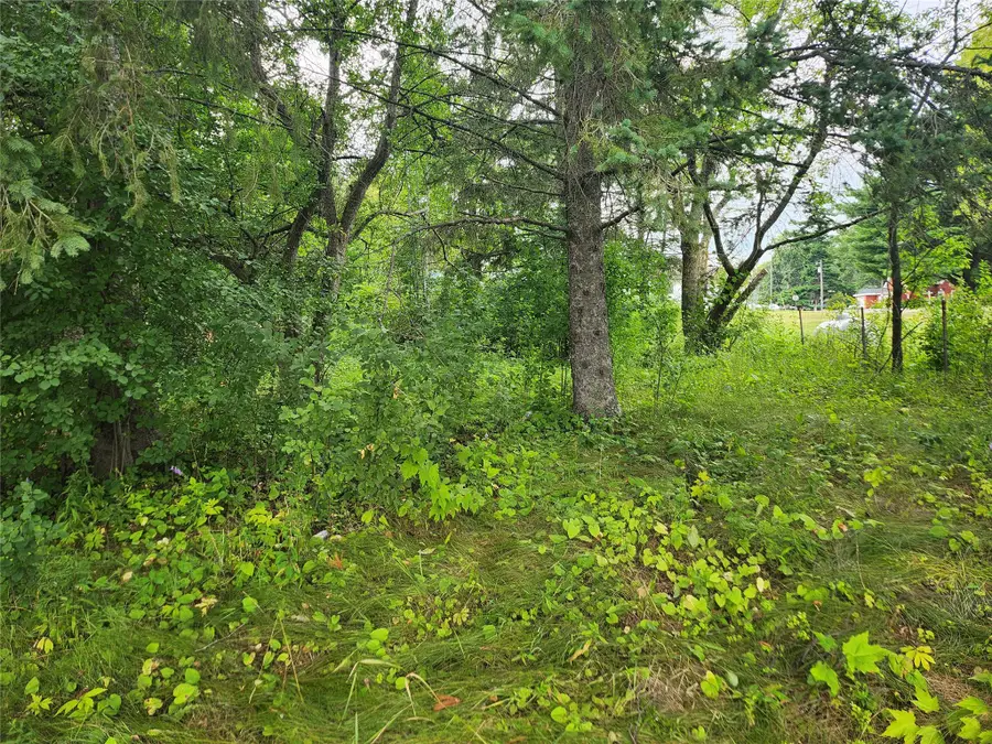 Lot 4 & 5 Main St Street, Birchwood, WI 54817 - #2