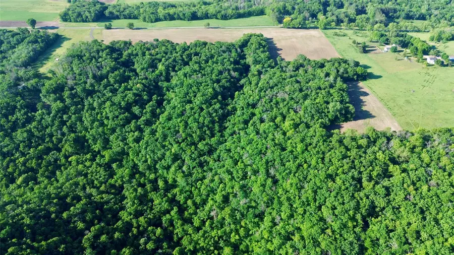 000 160th Ace, Maiden Rock, WI 54750 - #3
