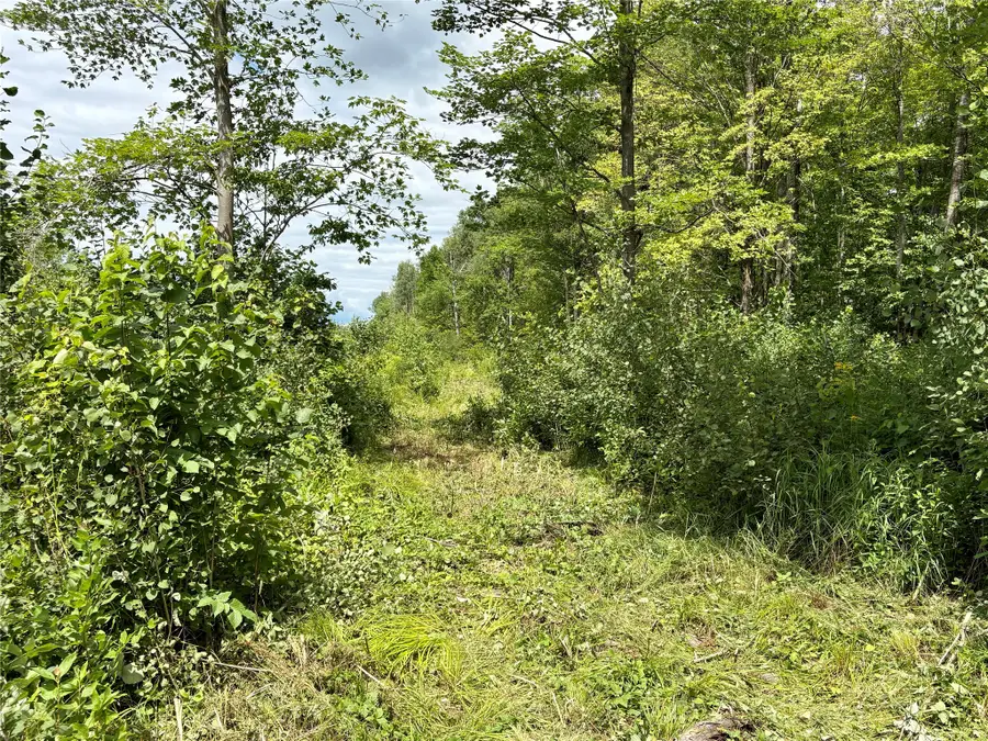 000 Girod Rd, Ladysmith, WI 54848 - #3