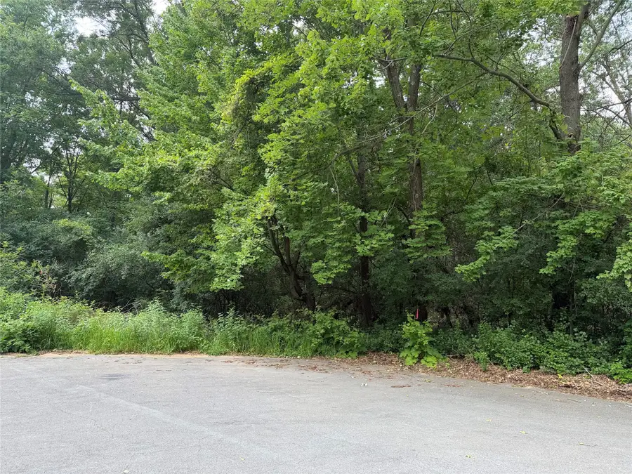 Lots 19 & 20 449th St, Menomonie, WI 54751 - #3