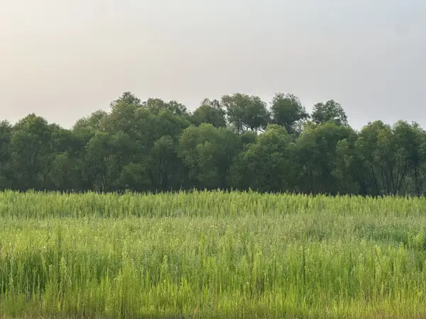 Lot 4 28th Avenue, Elk Mound, WI 54739