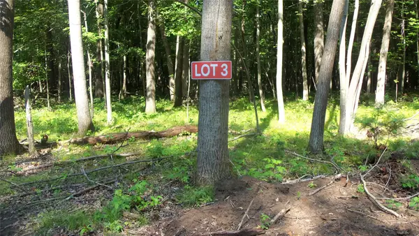 Lot 3 Howard Johnson Trail, Siren, WI 54872