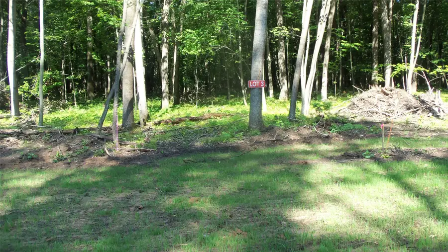 Lot 3 Howard Johnson Trail, Siren, WI 54872 - #2