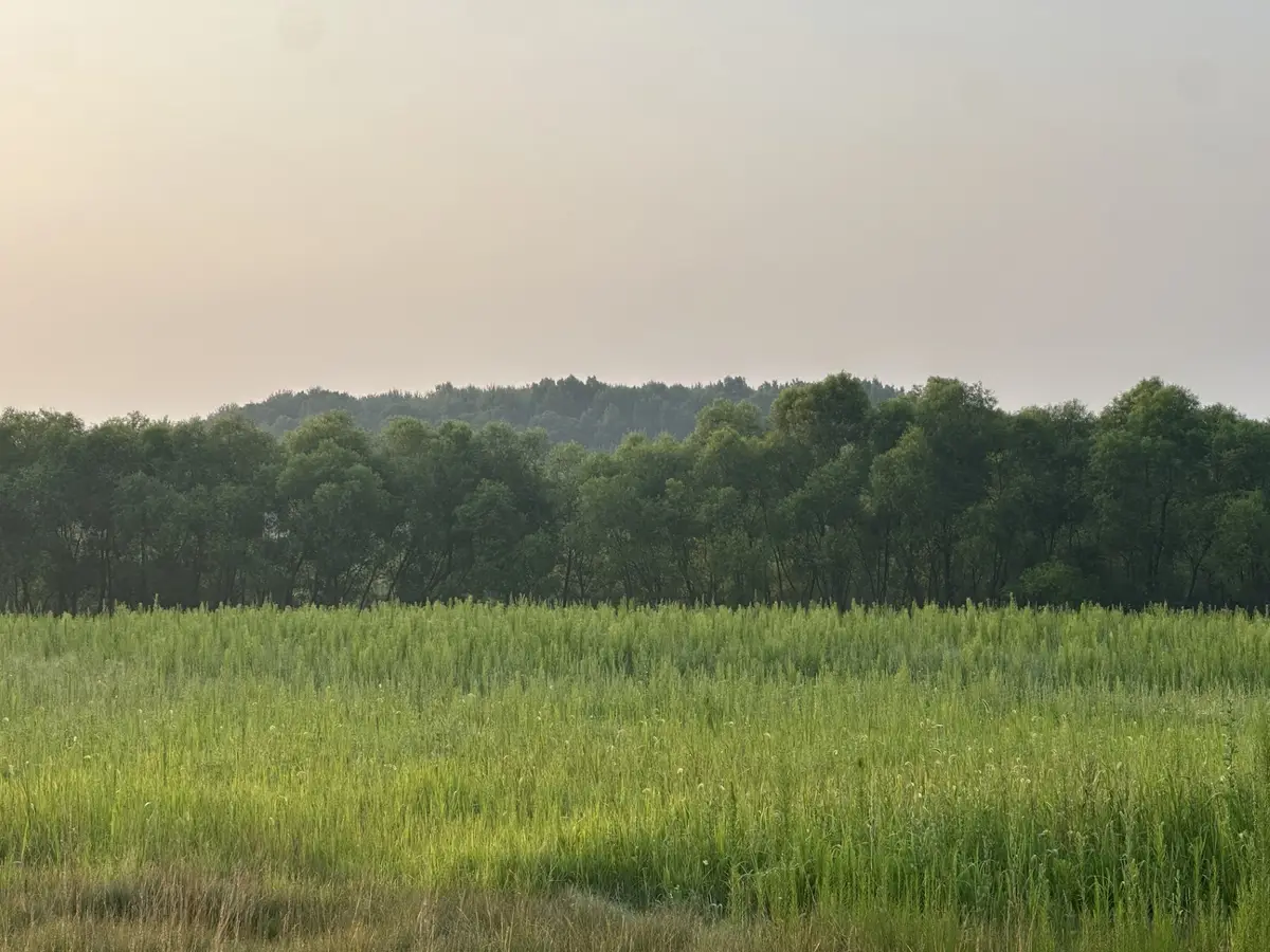 Lot 5 28th Avenue, Elk Mound, WI 54739 - #1