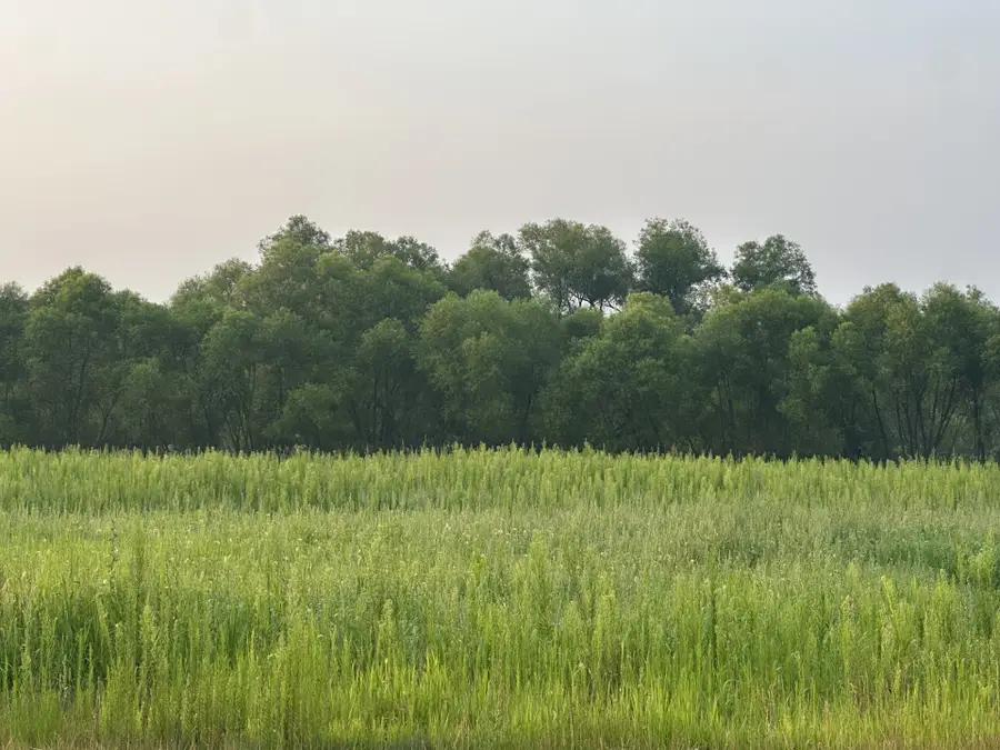 Lot 5 28th Avenue, Elk Mound, WI 54739 - #2