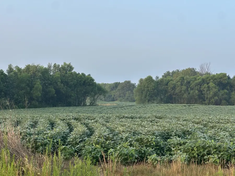 Lot 5 28th Avenue, Elk Mound, WI 54739 - #3