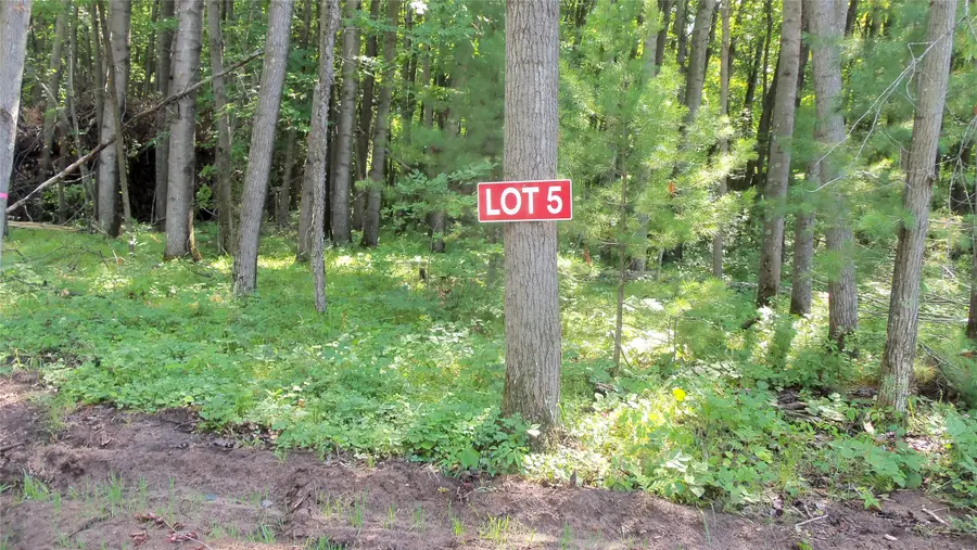 Lot 5 Howard Johnson Trail, Siren, WI 54872 - #2