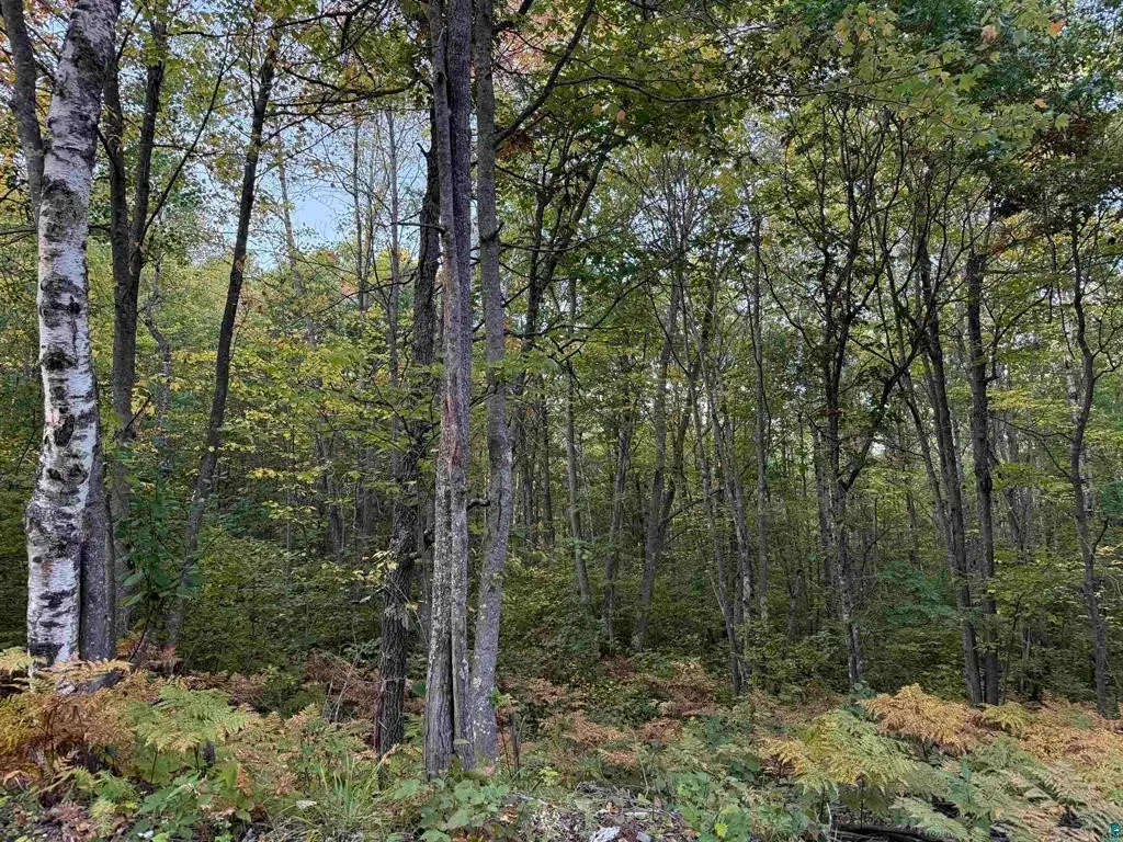 000 Hwy 2, Iron River, WI 54847 - #1