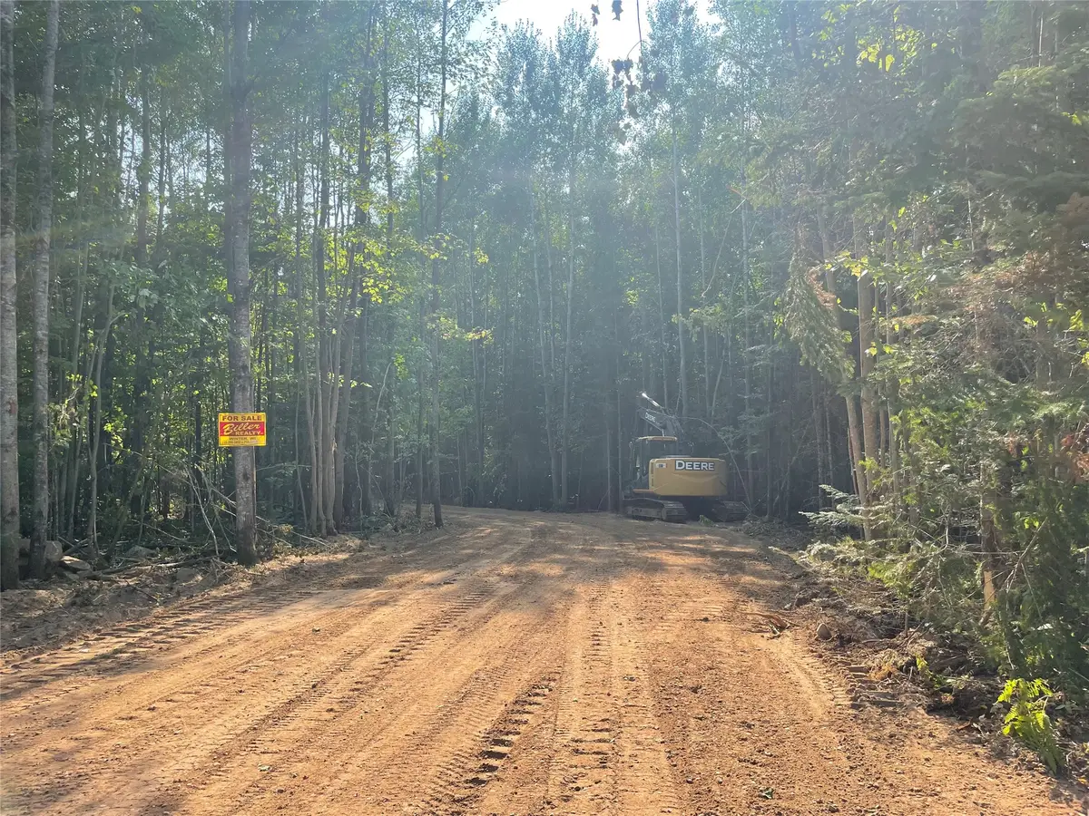 Lot 6 Uncle Toms Road, Loretta, WI 54896 - #1