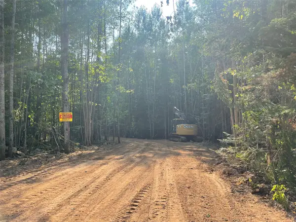 Lot 6 Uncle Toms Road, Loretta, WI 54896
