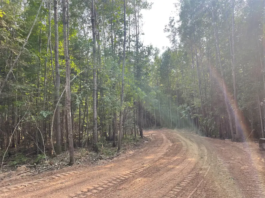 Lot 6 Uncle Toms Road, Loretta, WI 54896 - #3