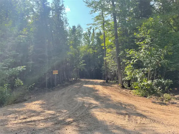 Lot 4 Uncle Toms Road, Loretta, WI 54896