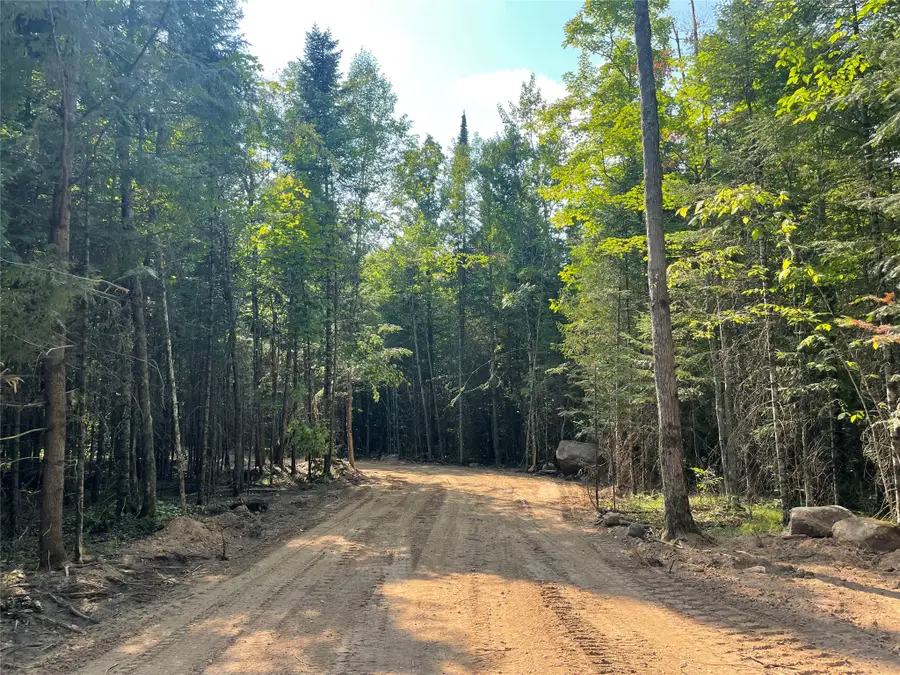 Lot 4 Uncle Toms Road, Loretta, WI 54896 - #3