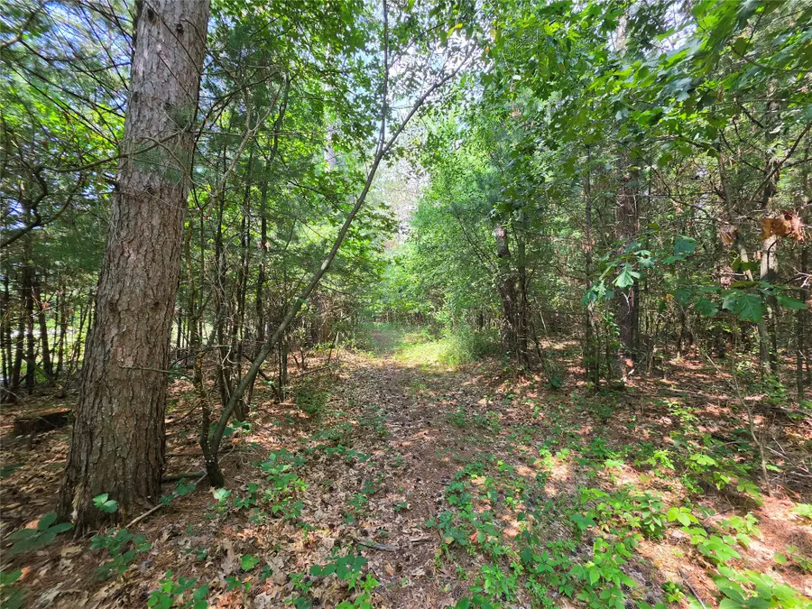 0 Country Road C, Elk Mound, WI 54739 - #3