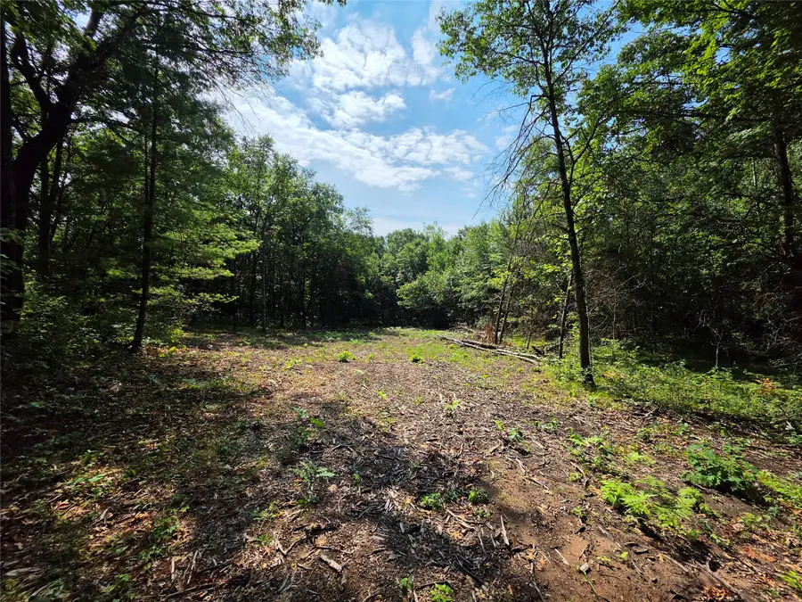 27687 295th Avenue, Holcombe, WI 54745 - #2