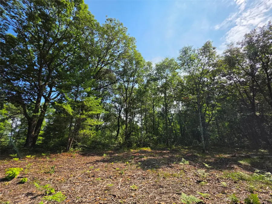 27687 295th Avenue, Holcombe, WI 54745 - #3