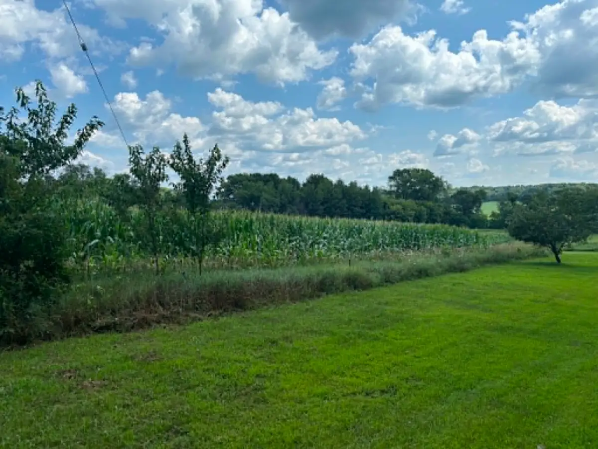 Vacant Land 420th Ave, Menomonie, WI 54751 - #1