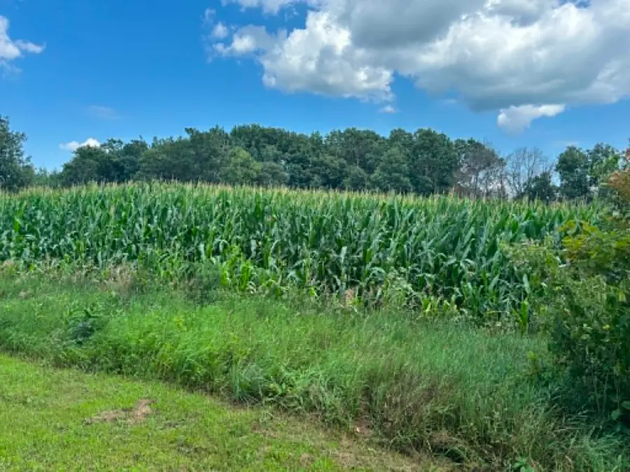 Vacant Land 420th Ave, Menomonie, WI 54751 - #3