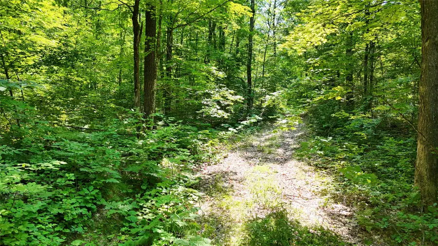 Lot 15 Wolf Lane, Hayward, WI 54843 - #3