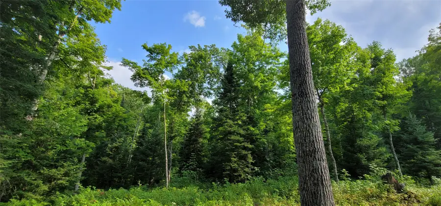 0000 N Lower Twin Lake, Hayward, WI 54843 - #2