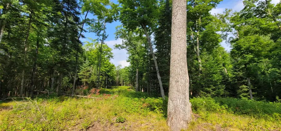0000 N Lower Twin Lake, Hayward, WI 54843 - #3