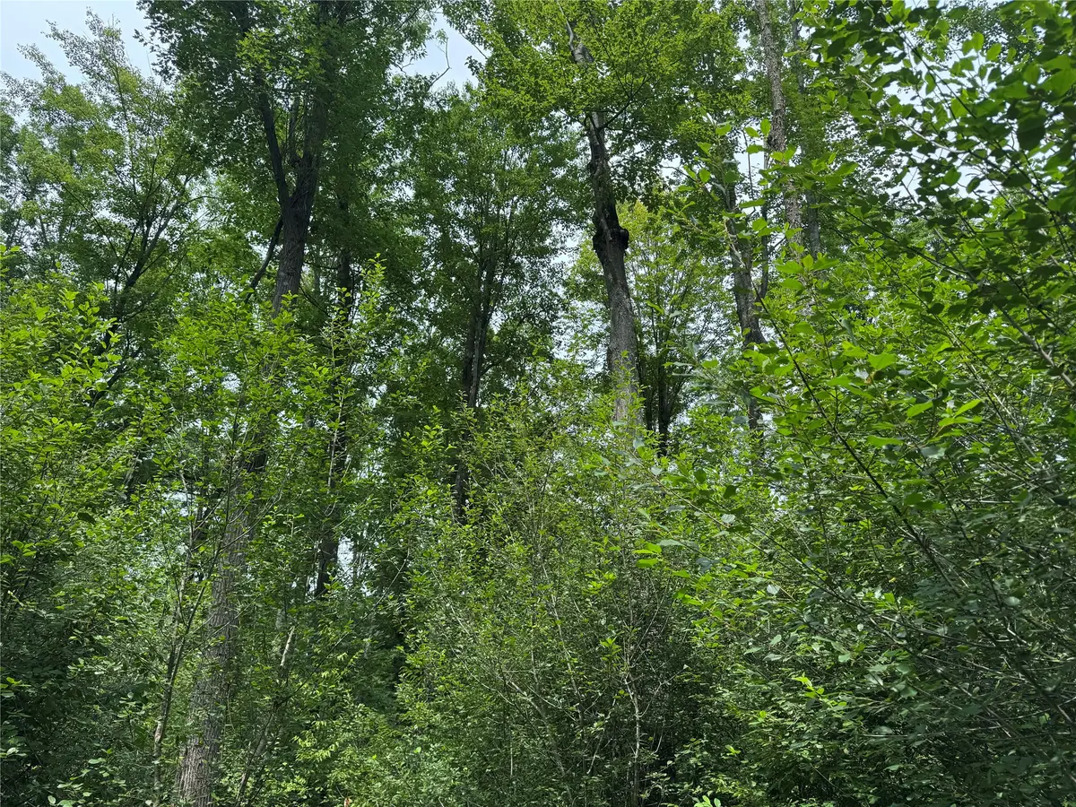 OOO Patton Drive, Marshfield, WI 54449 - #1
