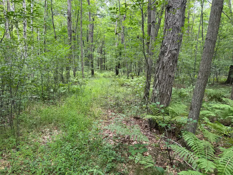 OOO Patton Drive, Marshfield, WI 54449 - #3