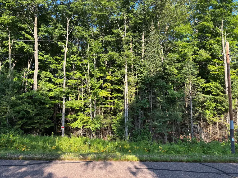 XX North Irish Road, Exeland, WI 54835 - #2