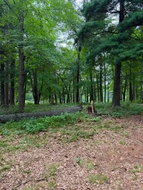 Lot 3 9 3/4 Avenue, Chetek, WI 54728