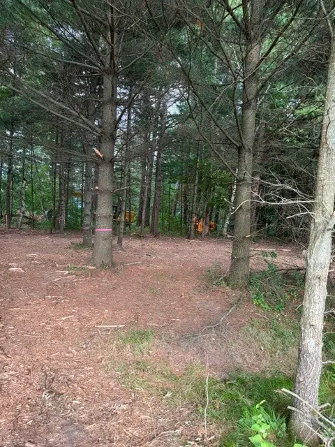 Lot 4 9 3/4 Avenue, Chetek, WI 54728 - #2