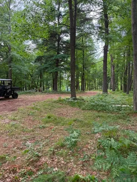 Lot 4 9 3/4 Avenue, Chetek, WI 54728 - #3