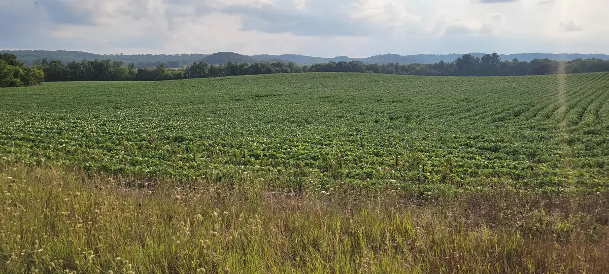 000 N Casper Road, Alma Center, WI 54611 - #1